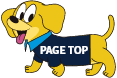 pagetop